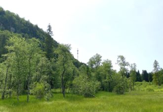 Tourbière de l’Entre Côtes du Milieu