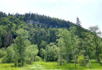 Tourbière de l’Entre Côtes du Milieu