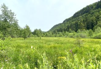 Tourbière de l’Entre Côtes du Milieu