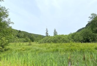 Tourbière de l’Entre Côtes du Milieu