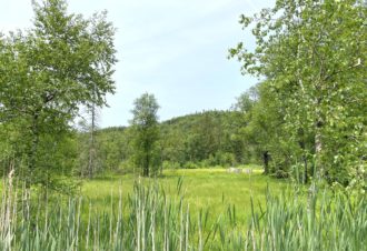 Tourbière de l’Entre Côtes du Milieu