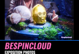 Exposition « Toy culture vision »