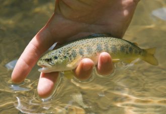 Week end de pêche dans le Jura