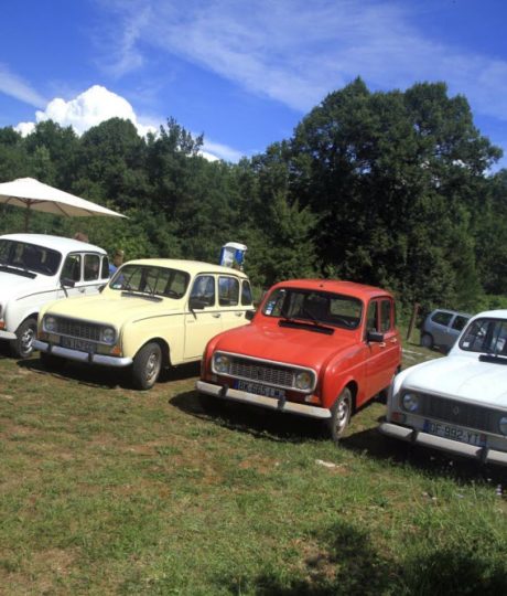 Auto rétro des sapins