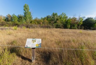 Zone humide de Chissey-sur-Loue