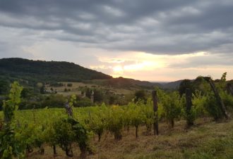 Les coteaux du Val de Sorne