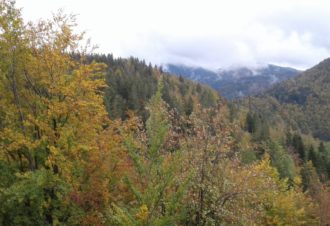 Belvédère de la Roche Brûlée