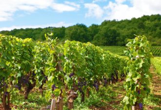 Pays, Paysans, Paysages