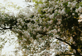 La bulle à parfums & jardin parfumé