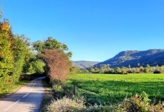 Voie Verte de la Vallière