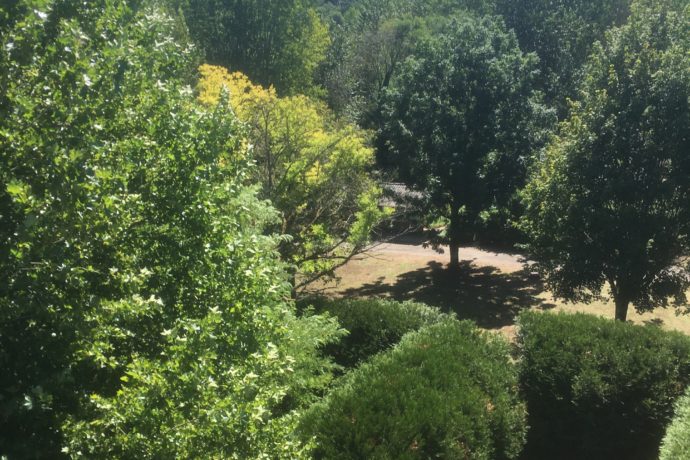 vu de haut.          au pied de la forêt de chaux. jura