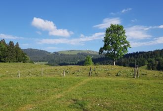 Bistrot du Chalet des Tuffes