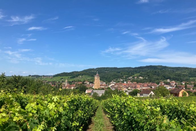 vue d&rsquo;Arbois depuis des vignes