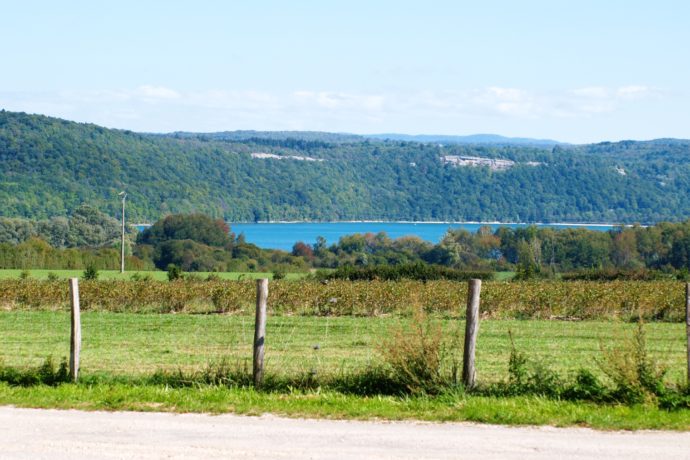 Vue depuis le gîte