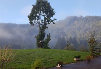 Bistrot du Chalet des Tuffes